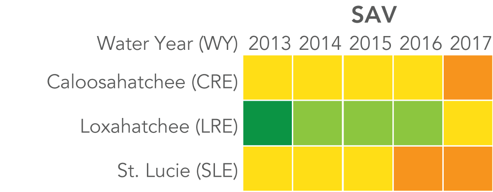 Caloosahatchee: SAV rated "fair" 2013 to 2016, and "poor" in 2017. Loxahatchee: SAV rated "very good" in 2013, "good" 2014 to 2016, and "fair" in 2017. St. Lucie: SAV rated "fair" 2013 to 2015 and "poor" 2016 to 2017. Caloosahatchee: SAV rated "fair" 2013 to 2016, and "poor" in 2017. Loxahatchee: SAV rated "very good" in 2013, "good" 2014 to 2016, and "fair" in 2017. St. Lucie: SAV rated "fair" 2013 to 2015 and "poor" 2016 to 2017.